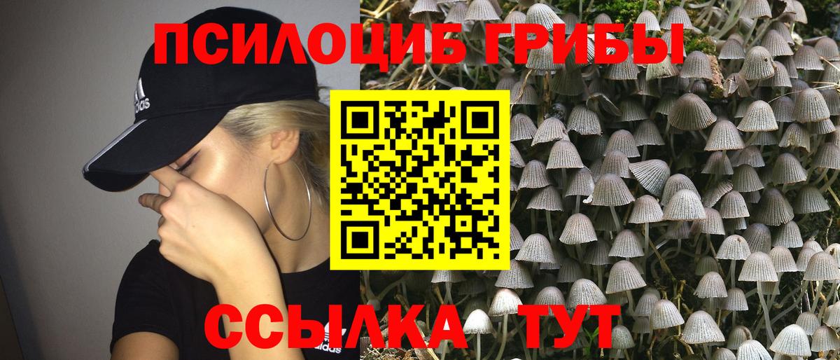Ишимбай  Галлюциногенные грибы MAGIC MUSHROOMS  Псилоцибиновые грибы Magic Shrooms  Вход с VPN 