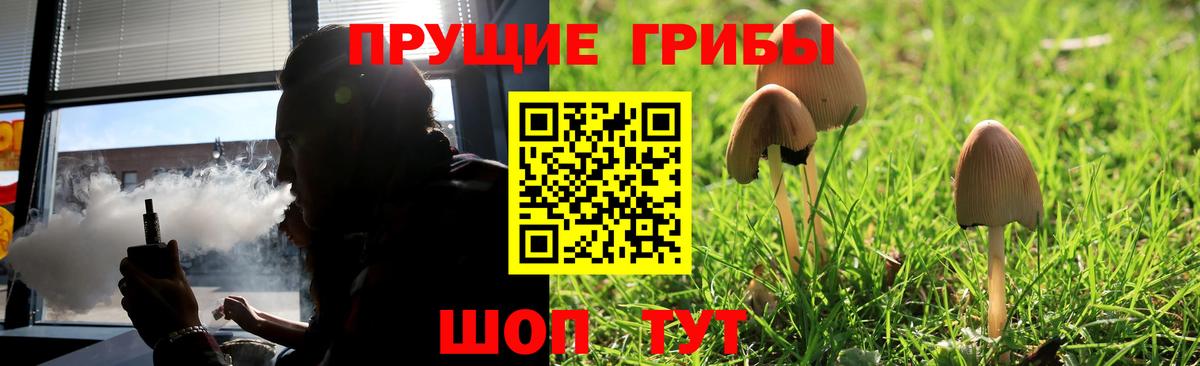Галлюциногенные грибы Psilocybine cubensis Ишимбай